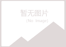 鹤岗兴山分心能源有限公司